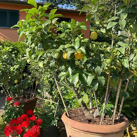 Casa Vacanza Il Borraccio Holiday home
