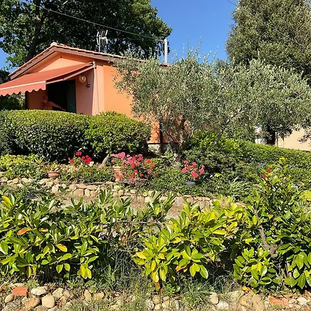 Il Borraccio - Azalea And Begonia *